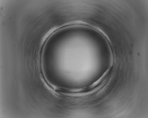 X0000076431054200610061227