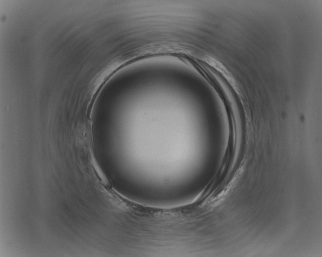 X0000076431089200610061226