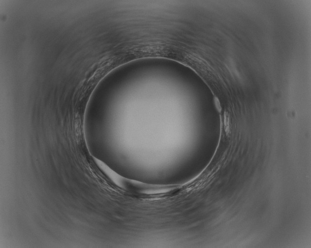 X0000076431107200610061225