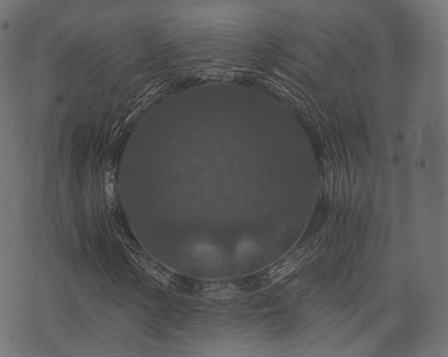 X0000076431154200610061225
