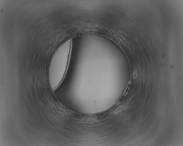 X0000076431156200610061225