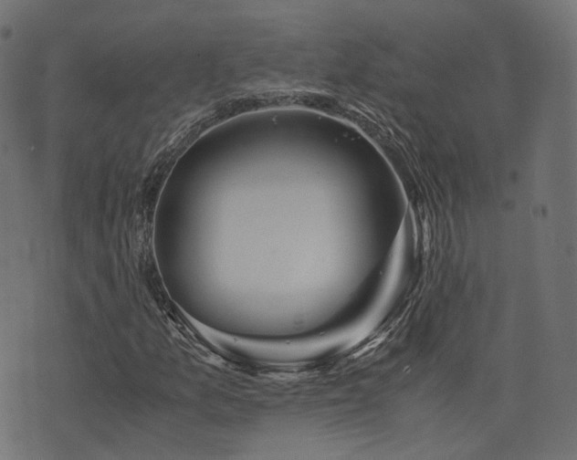 X0000076431157200610061225
