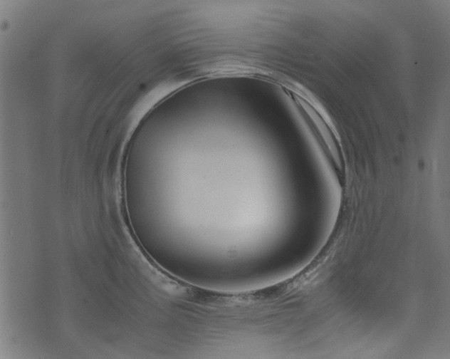 X0000076431195200610061224