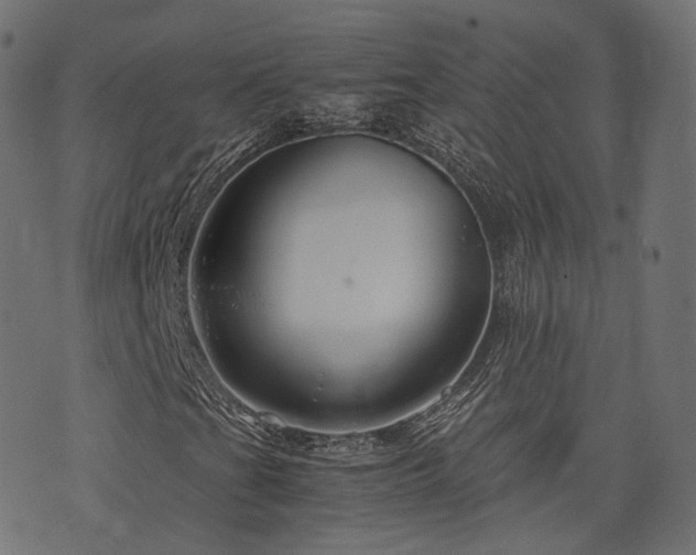X0000076431201200610061223
