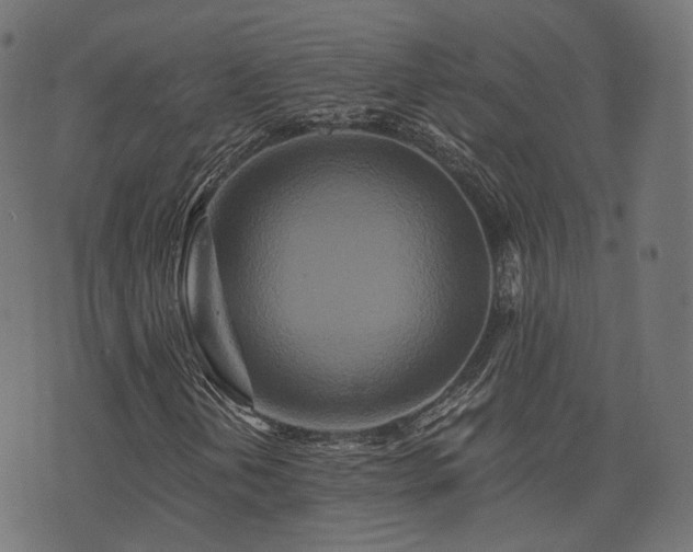 X0000076431202200610061223