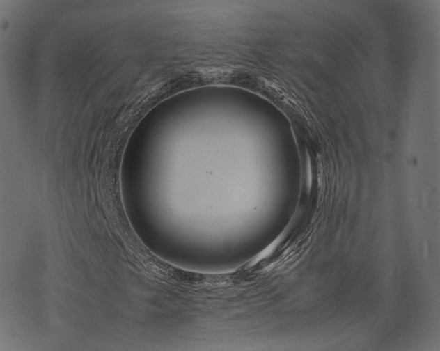 X0000076431249200610061223
