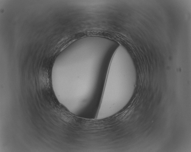 X0000076431252200610061223