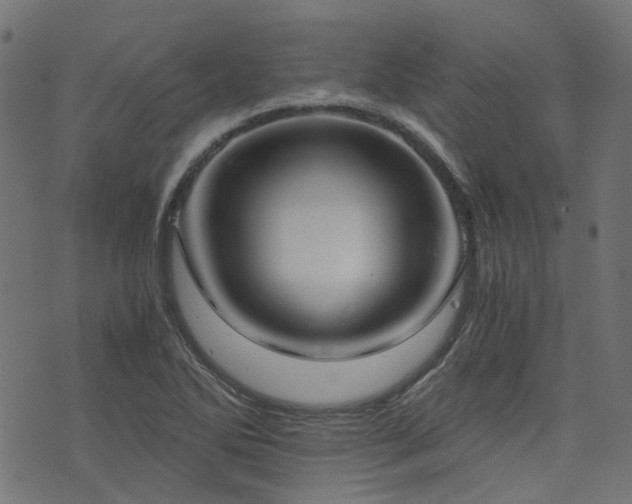 X0000076431270200610061223
