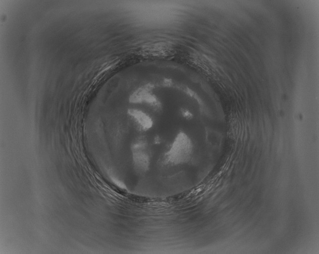 X0000076431297200610061222