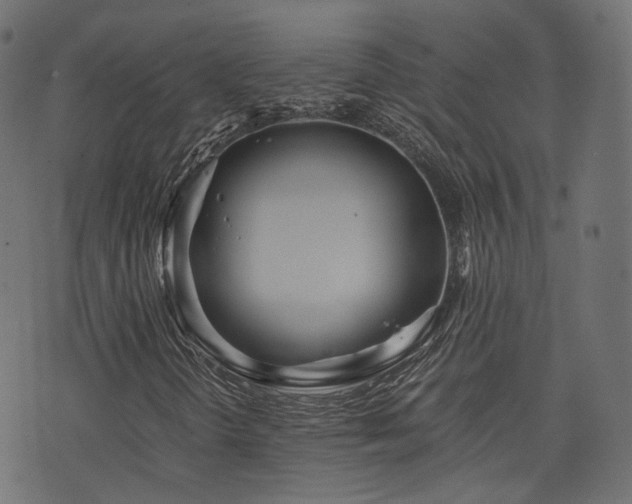 X0000076431298200610061222