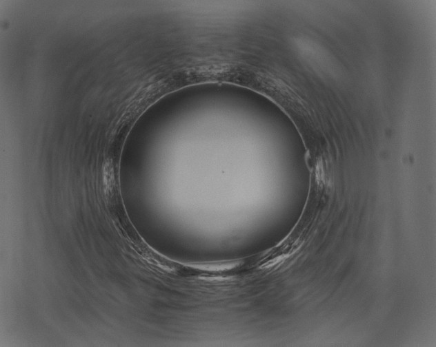 X0000076431299200610061222