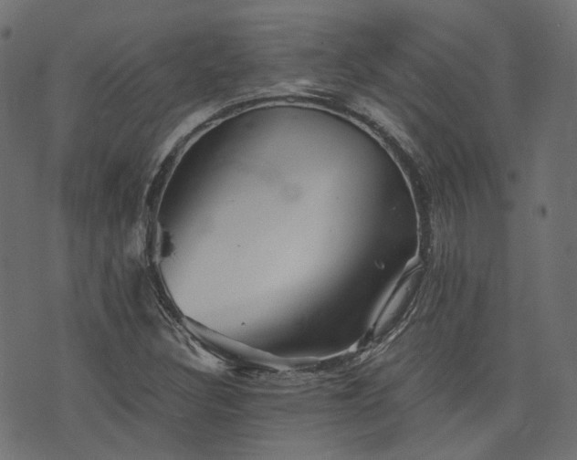 X0000076431308200610061222