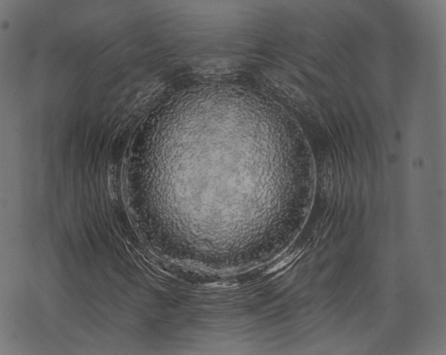 X0000076431346200610061222