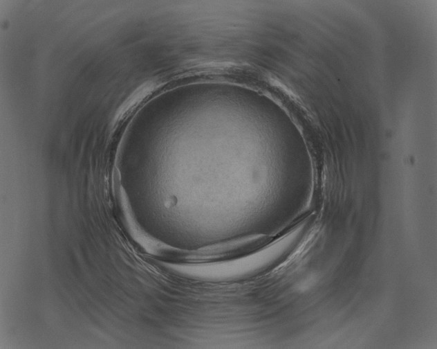 X0000076431354200610061222