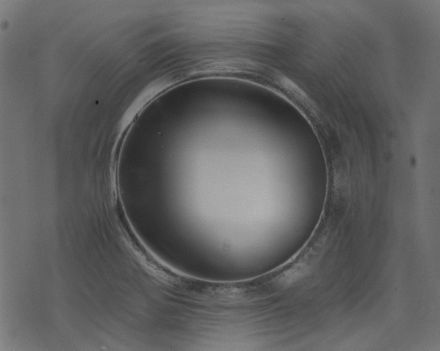 X0000076431370200610061221