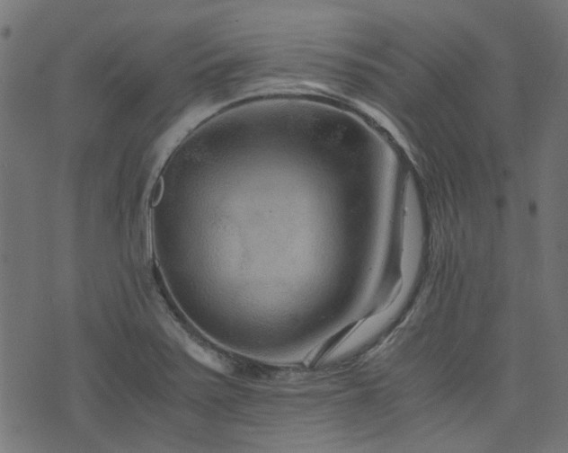 X0000076431371200610061221