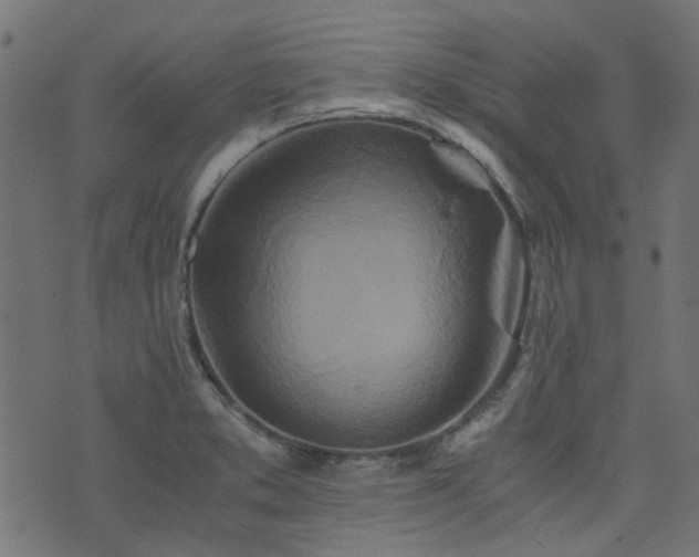 X0000076431373200610061221