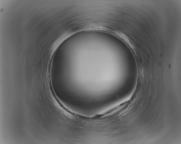 X0000076431387200610061221