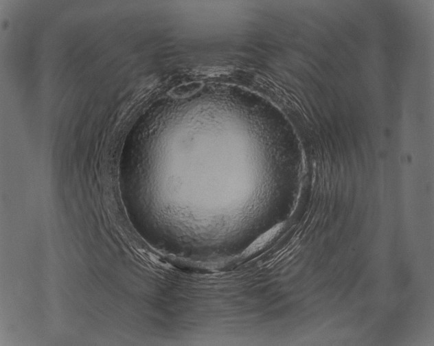 X0000076431393200610061220