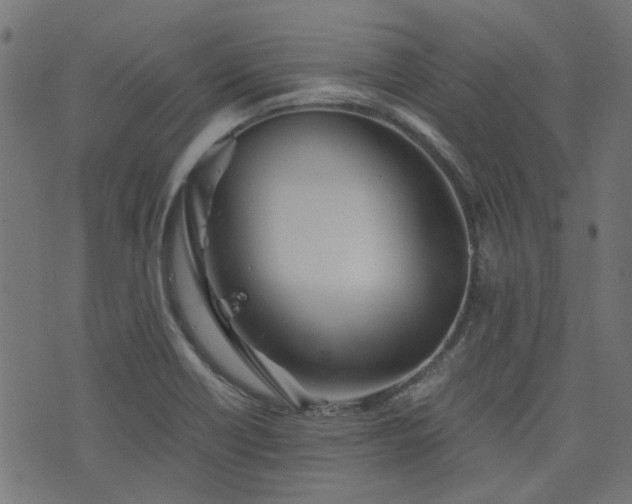 X0000076431418200610061221