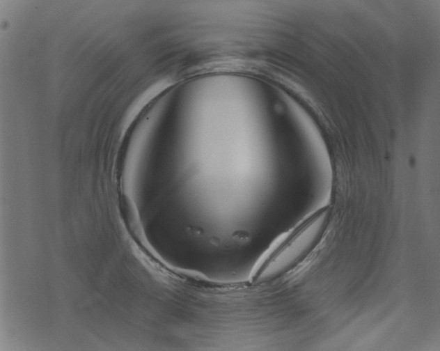 X0000076431426200610061221