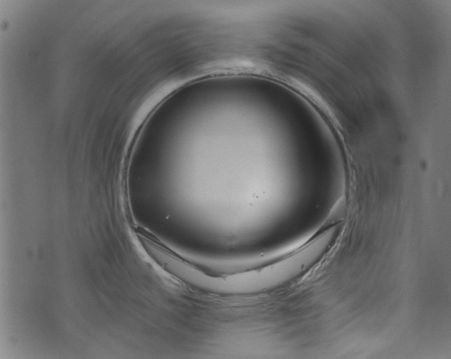 X0000076431440200610061221