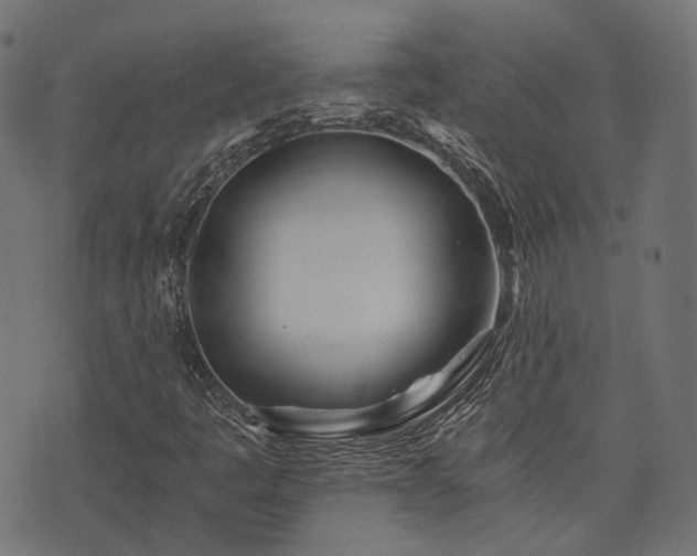 X0000076431445200610061220