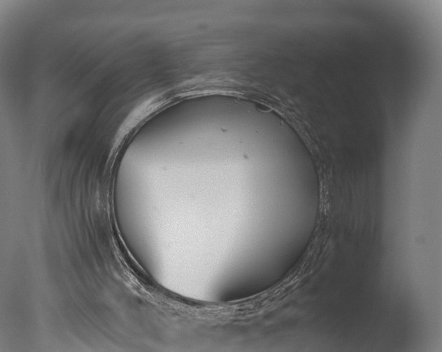 X0000076430004200610161204