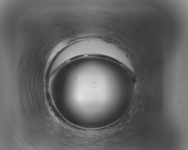 X0000076430006200610161204