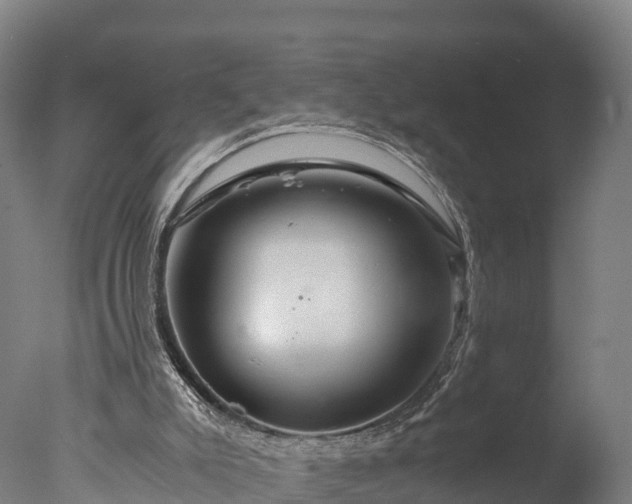X0000076430007200610161204