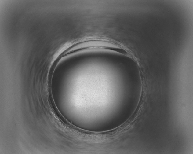 X0000076430008200610161204