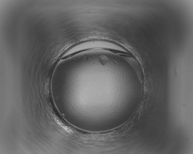 X0000076430009200610161204