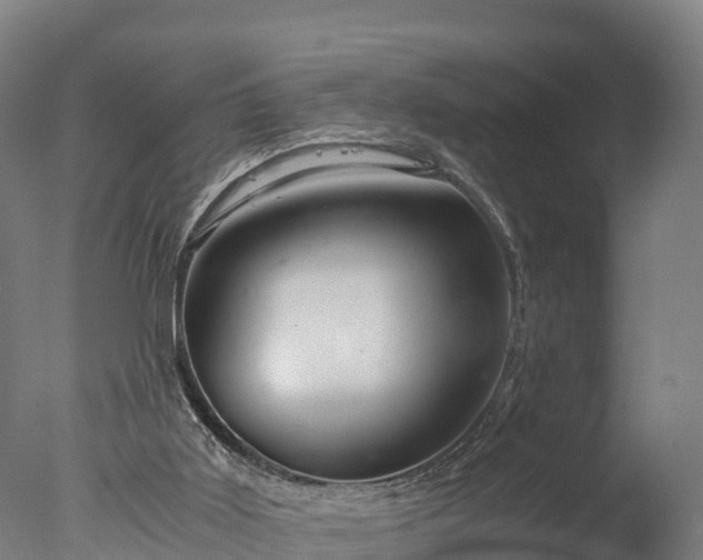 X0000076430011200610161204