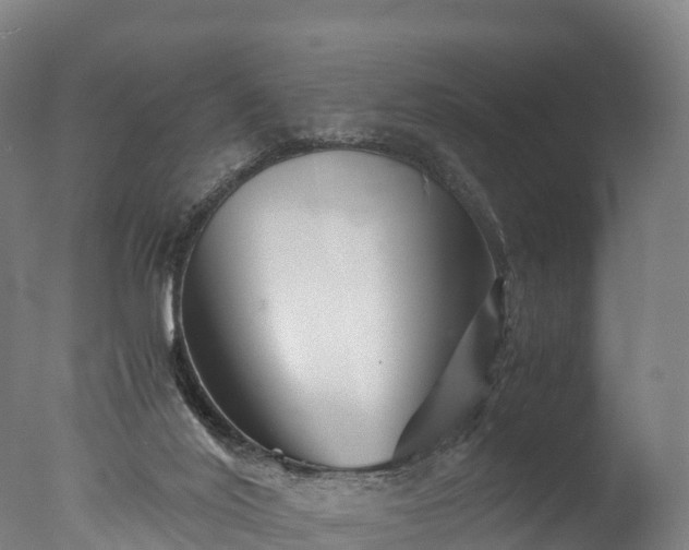 X0000076430020200610161204
