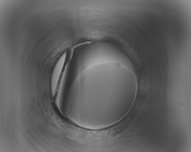 X0000076430027200610161204