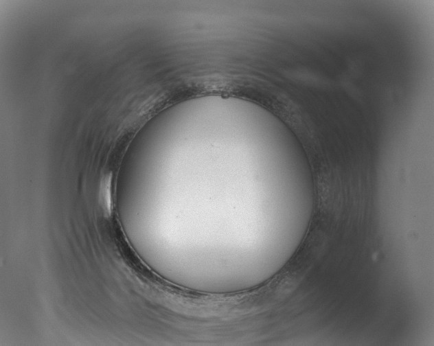 X0000076430028200610161204