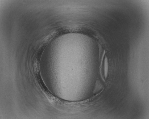 X0000076430029200610161204