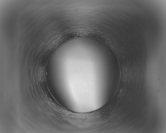 X0000076430034200610161204