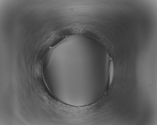 X0000076430035200610161204