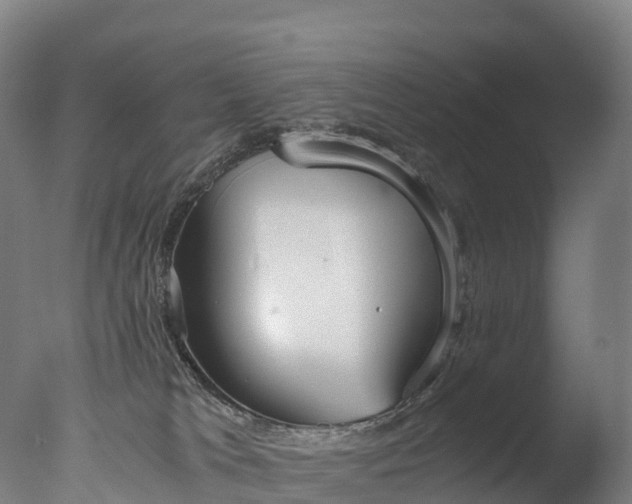 X0000076430037200610161204