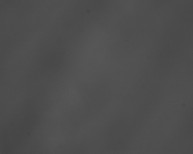 X0000076430043200610161204