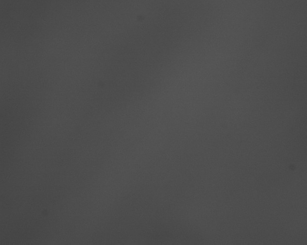X0000076430044200610161204