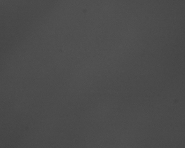 X0000076430045200610161204