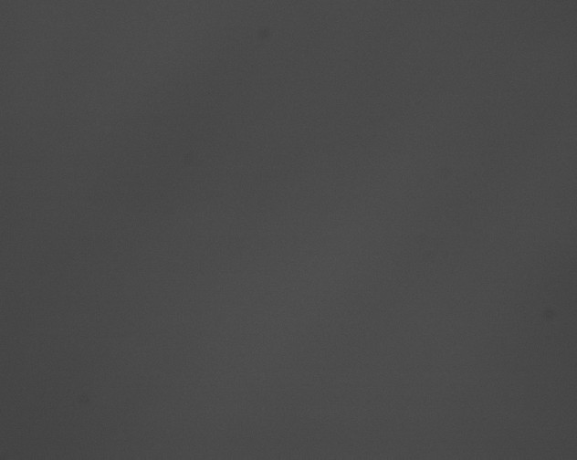 X0000076430046200610161204