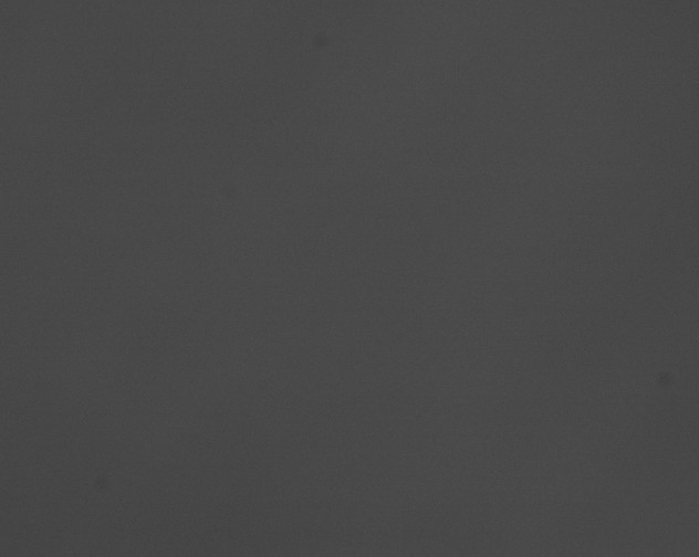 X0000076430048200610161204
