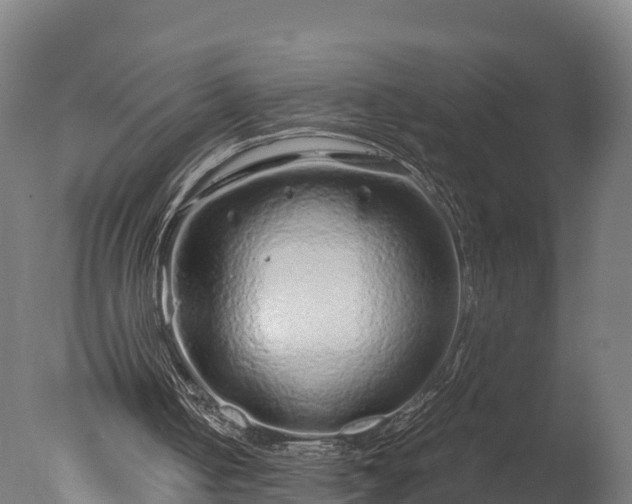 X0000076430050200610161203