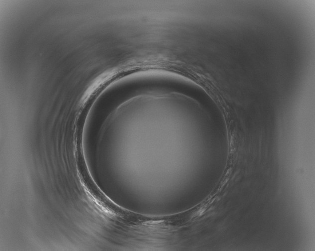 X0000076430054200610161203