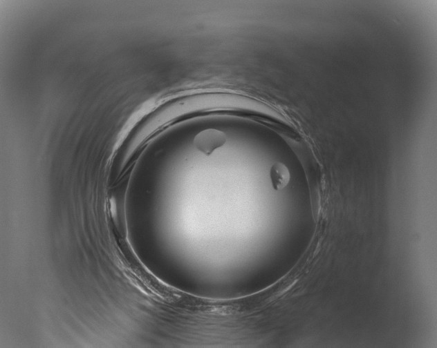 X0000076430056200610161203