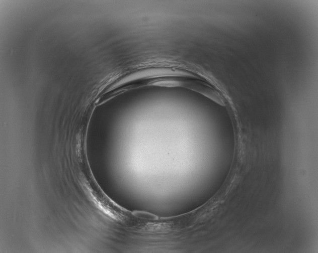 X0000076430057200610161203