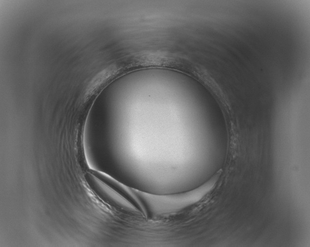 X0000076430058200610161203